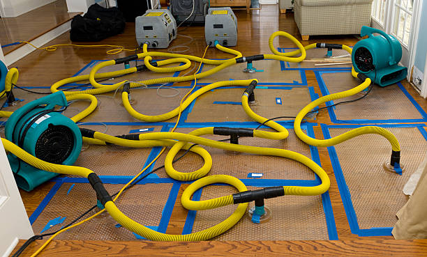 Professional Water Damage Restoration technician working in Kennebunkport, ME